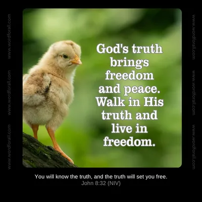 God's truth brings freedom and peace.
Walk in His truth and live in freedom.