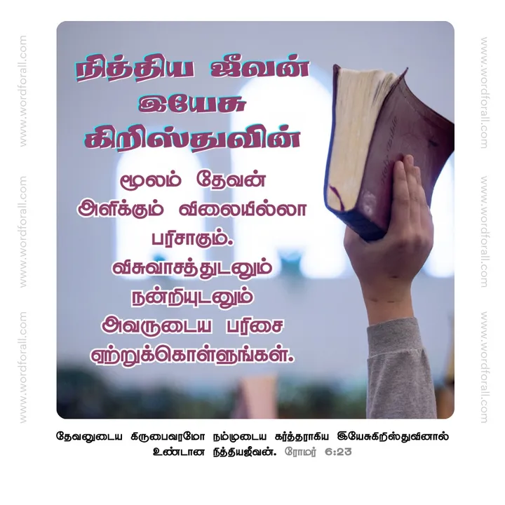 நித்திய ஜீவன் இயேசு கிறிஸ்துவின் மூலம் தேவன் அளிக்கும் விலையில்லா பரிசாகும்.
விசுவாசத்துடனும் நன்றியுடனும் அவருடைய பரிசை ஏற்றுக்கொள்ளுங்கள்.