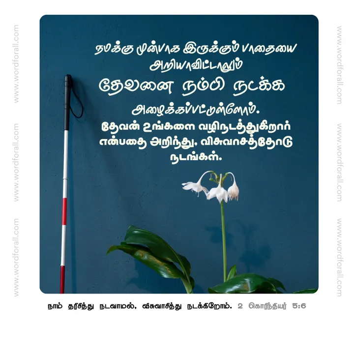 நமக்கு முன்பாக இருக்கும் பாதையை அறியாவிட்டாலும் தேவனை நம்பி நடக்க அழைக்கப்பட்டுள்ளோம். தேவன் உங்களை வழிநடத்துகிறார் என்பதை அறிந்து, விசுவாசத்தோடு நடங்கள்.