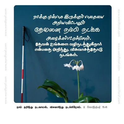 நமக்கு முன்பாக இருக்கும் பாதையை அறியாவிட்டாலும் தேவனை நம்பி நடக்க அழைக்கப்பட்டுள்ளோம். தேவன் உங்களை வழிநடத்துகிறார் என்பதை அறிந்து, விசுவாசத்தோடு நடங்கள்.