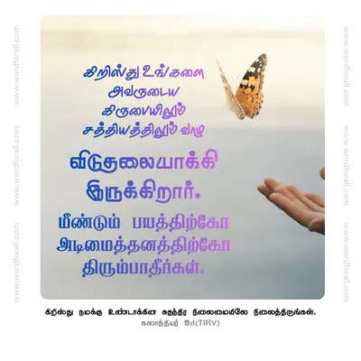 கிறிஸ்து உங்களை அவருடைய கிருபையிலும் சத்தியத்திலும் வாழ விடுதலையாக்கியிருக்கிறார்.
மீண்டும் பயத்திற்கோ அடிமைத்தனத்திற்கோ திரும்பாதீர்கள்.