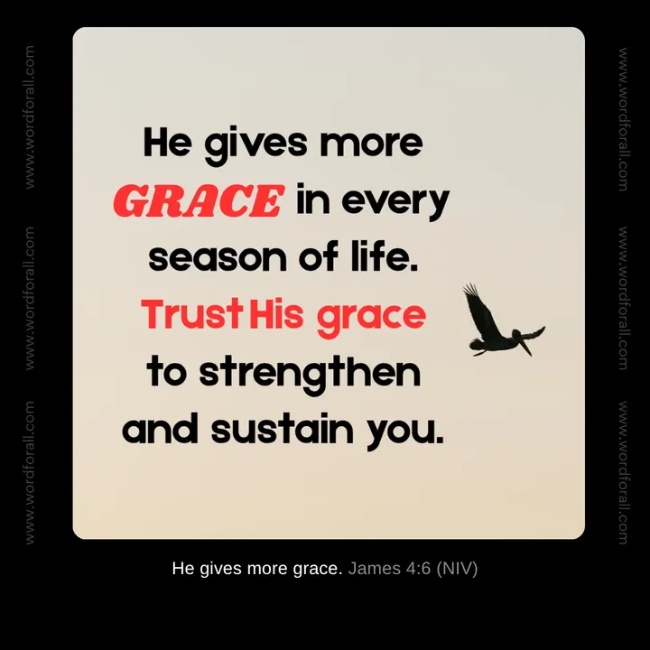 He gives more grace in every season of life. Trust His grace to strengthen and sustain you.