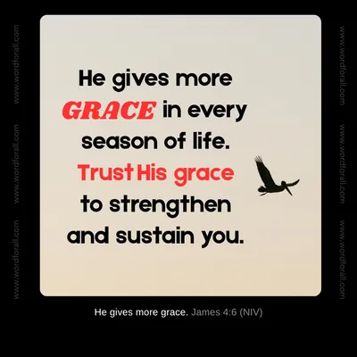 He gives more grace in every season of life. Trust His grace to strengthen and sustain you.