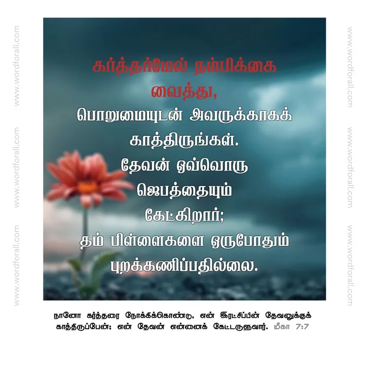 கர்த்தர்மேல் நம்பிக்கை வைத்து, பொறுமையுடன் அவருக்காகக் காத்திருங்கள்.
தேவன் ஒவ்வொரு ஜெபத்தையும் கேட்கிறார்; தம் பிள்ளைகளை ஒருபோதும் புறக்கணிப்பதில்லை.