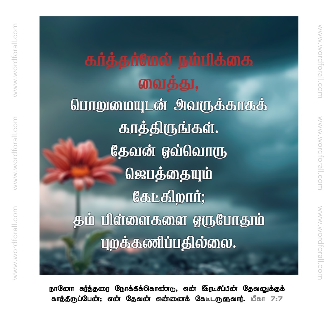 கர்த்தர்மேல் நம்பிக்கை வைத்து, பொறுமையுடன் அவருக்காகக் காத்திருங்கள்.
தேவன் ஒவ்வொரு ஜெபத்தையும் கேட்கிறார்; தம் பிள்ளைகளை ஒருபோதும் புறக்கணிப்பதில்லை.