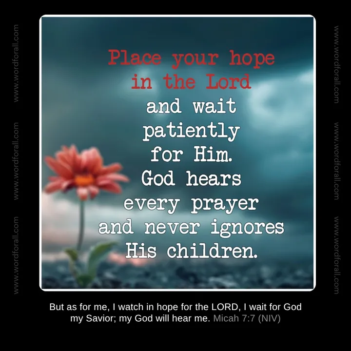 You can wait in quiet hope today, knowing that God hears every prayer you whisper. He is your Savior, and He will never leave you to face the silence alone. Trust that He is listening.