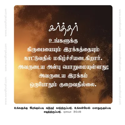 கர்த்தர் உங்களுக்கு கிருபையையும் இரக்கத்தையும் காட்டுவதில் மகிழ்ச்சியடைகிறார். அவருடைய அன்பு பொறுமையுள்ளது; அவருடைய இரக்கம் ஒருபோதும் குறைவதில்லை.
