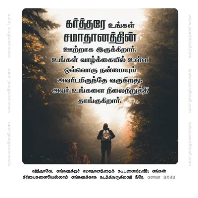 கர்த்தரே உங்கள் சமாதானத்தின் ஊற்றாக இருக்கிறார். உங்கள் வாழ்க்கையில் உள்ள ஒவ்வொரு நன்மையும் அவரிடமிருந்தே வருகிறது. அவர் உங்களை நிலைநிறுத்தி தாங்குகிறார்.