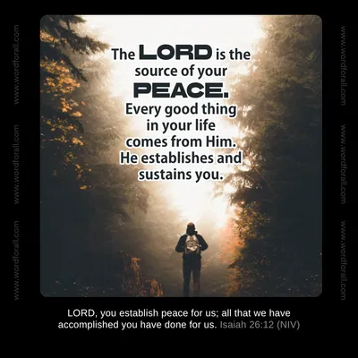 You do not have to carry the pressure of making everything happen on your own. God is the one establishing your peace and working through your efforts. Rest in His strength today.