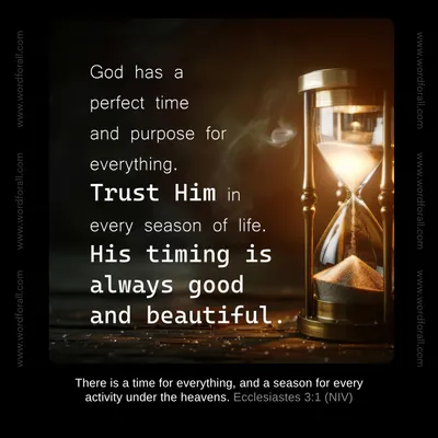 You don't have to rush or worry about the pace of your life. God has a beautiful purpose for the season you are in right now. Trust His perfect timing, because every moment is held safely in His hands.