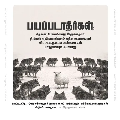பயப்படாதீர்கள்; தேவன் உங்களோடு இருக்கிறார். நீங்கள் எதிர்கொள்ளும் எந்த சவாலையும் விட அவருடைய வல்லமையும், பாதுகாப்பும் பெரியது.