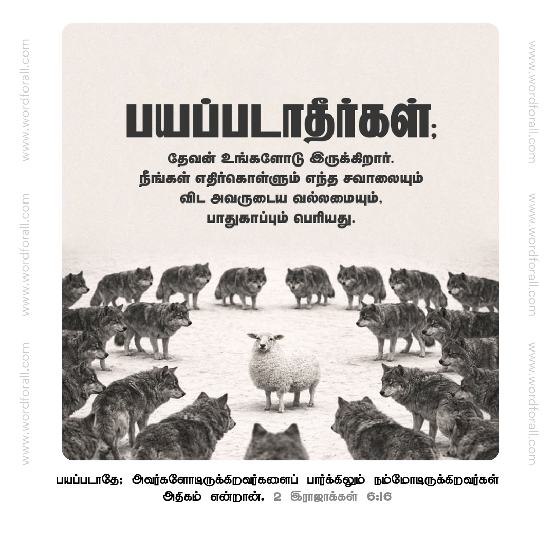 பயப்படாதீர்கள்; தேவன் உங்களோடு இருக்கிறார். நீங்கள் எதிர்கொள்ளும் எந்த சவாலையும் விட அவருடைய வல்லமையும், பாதுகாப்பும் பெரியது.