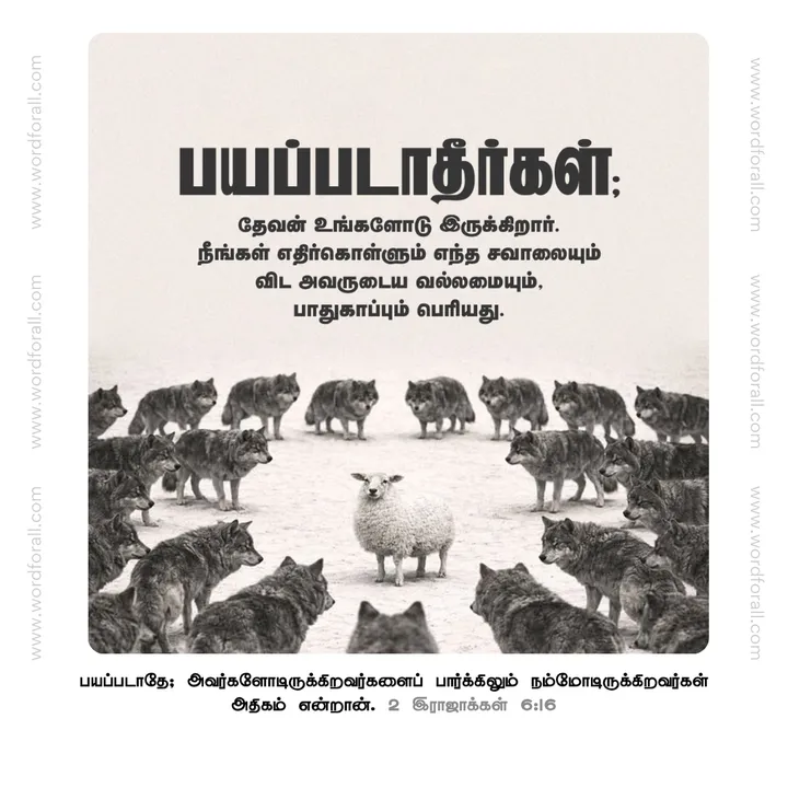 பயப்படாதீர்கள்; தேவன் உங்களோடு இருக்கிறார். நீங்கள் எதிர்கொள்ளும் எந்த சவாலையும் விட அவருடைய வல்லமையும், பாதுகாப்பும் பெரியது.