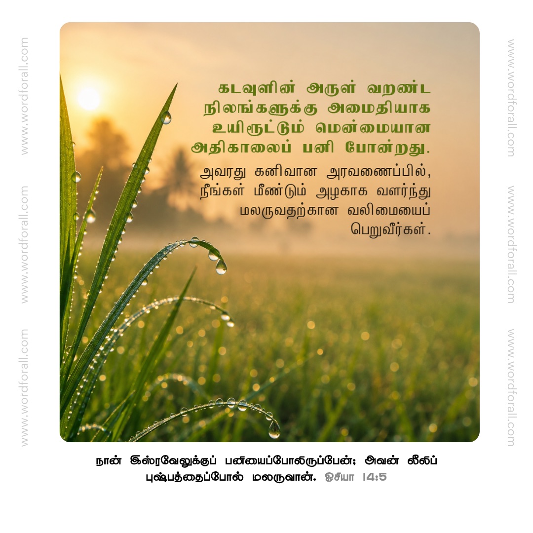 கடவுளின் அருள் வறண்ட நிலங்களுக்கு அமைதியாக உயிரூட்டும் மென்மையான அதிகாலைப் பனி போன்றது. அவரது கனிவான அரவணைப்பில், நீங்கள் மீண்டும் அழகாக வளர்ந்து மலருவதற்கான வலிமையைப் பெறுவீர்கள்.
