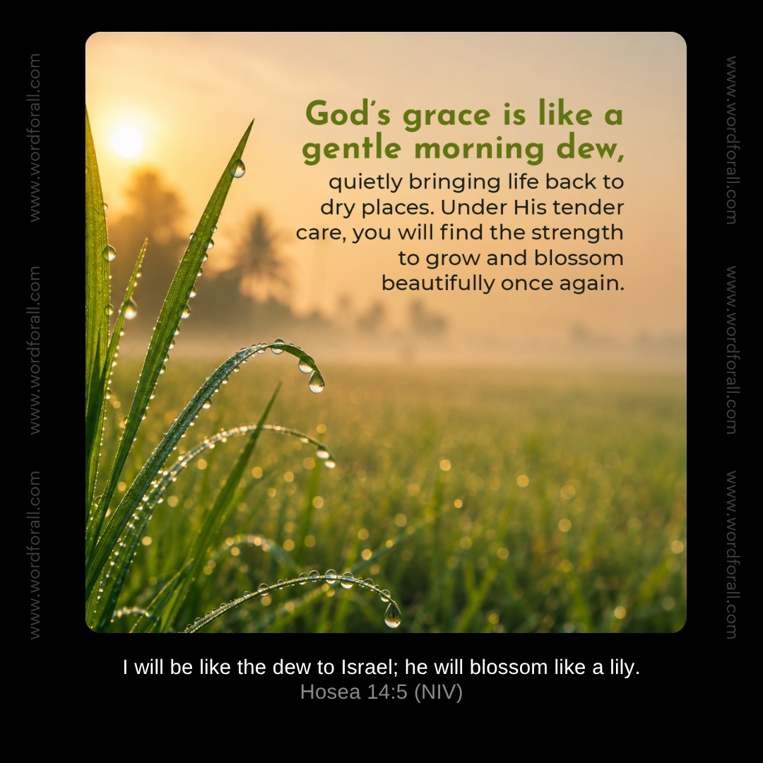 God's grace is like a gentle morning dew, quietly bringing life back to dry places. Under His tender care, you will find the strength to grow and blossom beautifully once again.