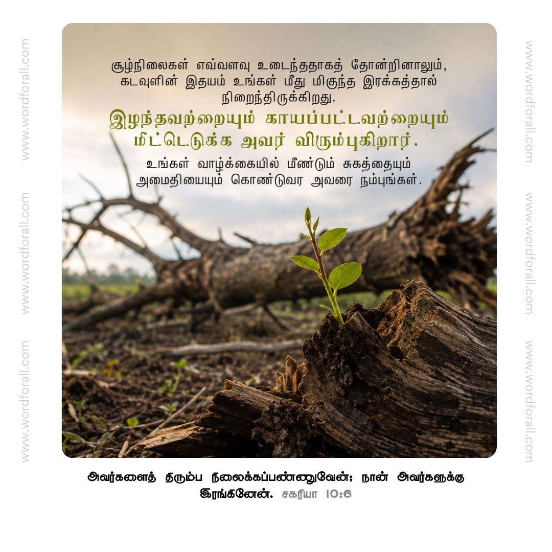 சூழ்நிலைகள் எவ்வளவு உடைந்ததாகத் தோன்றினாலும், கடவுளின் இதயம் உங்கள் மீது மிகுந்த இரக்கத்தால் நிறைந்திருக்கிறது. இழந்தவற்றையும் காயப்பட்டவற்றையும் மீட்டெடுக்க அவர் விரும்புகிறார். உங்கள் வாழ்க்கையில் மீண்டும் சுகத்தையும் அமைதியையும் கொண்டுவர அவரை நம்புங்கள்.