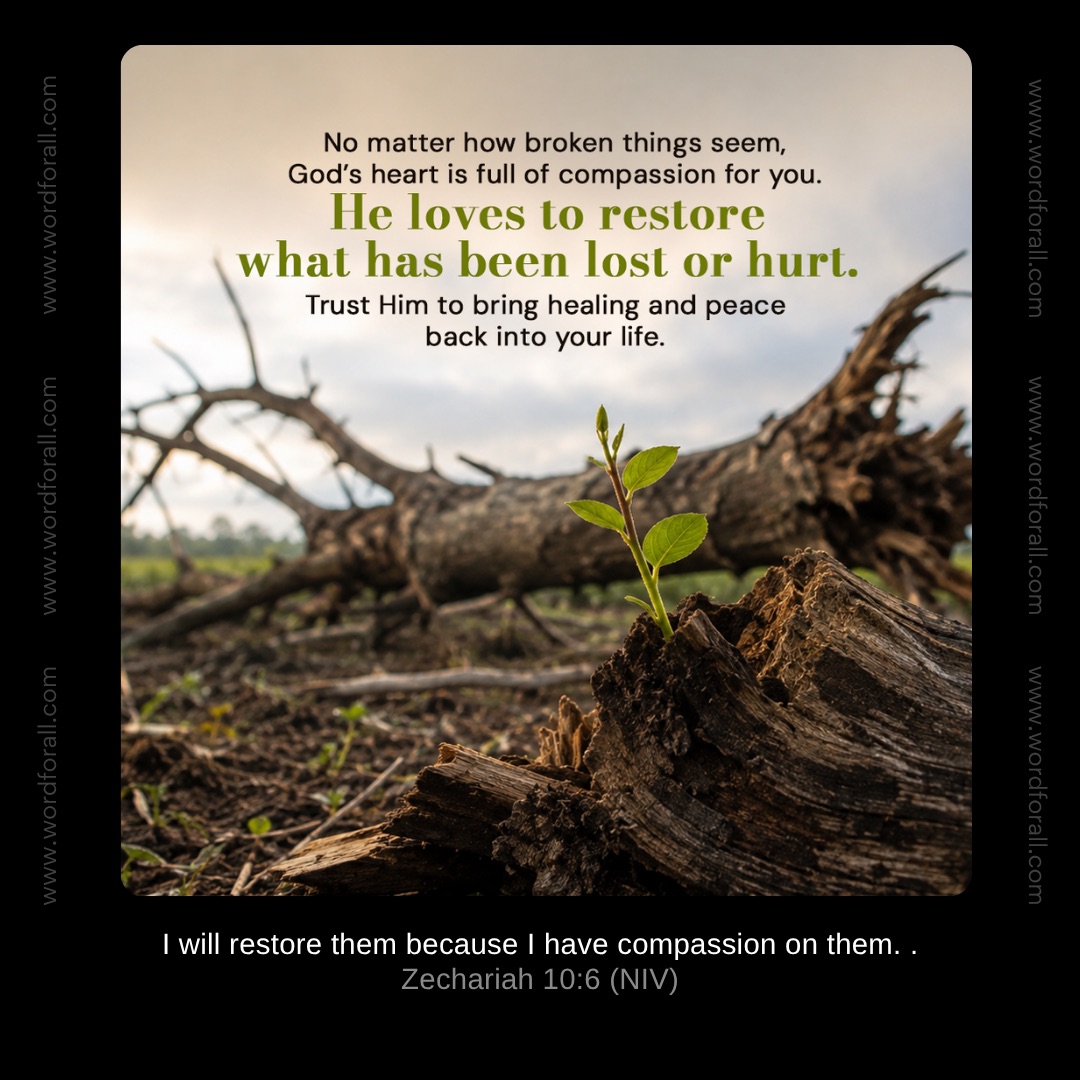 No matter how broken things seem, God's heart is full of compassion for you. He loves to restore what has been lost or hurt. Trust Him to bring healing and peace back into your life.