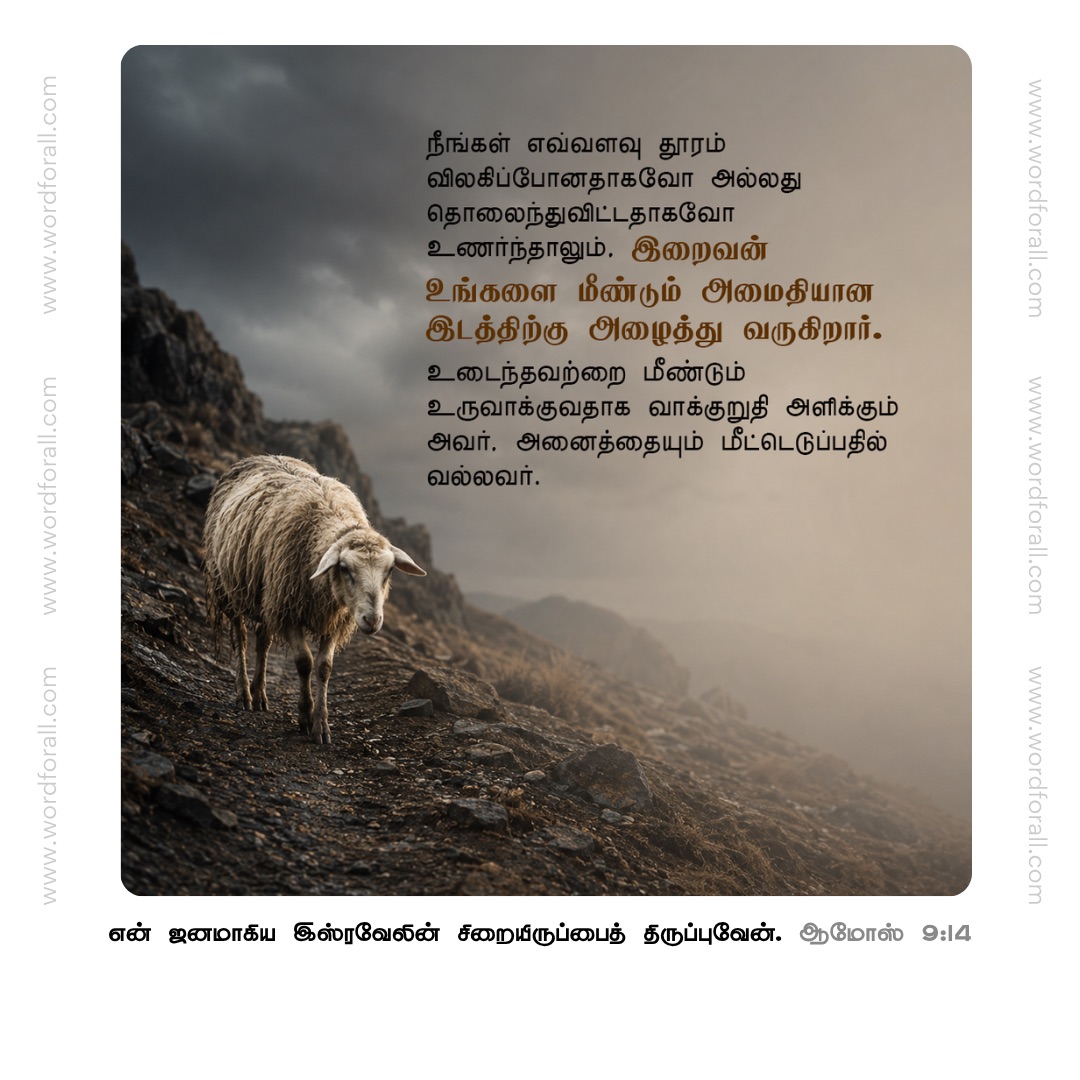 நீங்கள் எவ்வளவு தூரம் விலகிப்போனதாகவோ அல்லது தொலைந்துவிட்டதாகவோ உணர்ந்தாலும், இறைவன் உங்களை மீண்டும் அமைதியான இடத்திற்கு அழைத்து வருகிறார். உடைந்தவற்றை மீண்டும் உருவாக்குவதாக வாக்குறுதி அளிக்கும் அவர், அனைத்தையும் மீட்டெடுப்பதில் வல்லவர்.