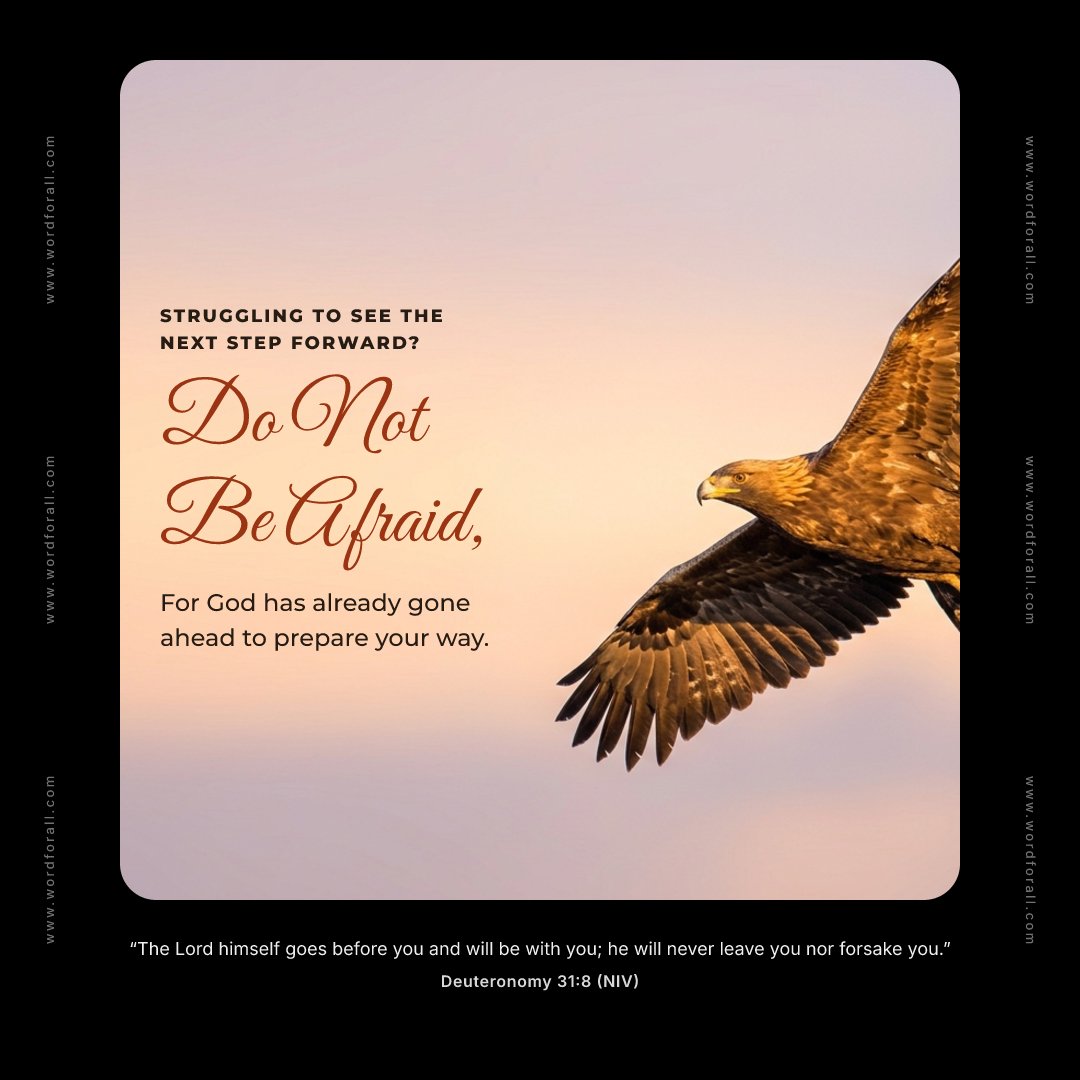 Struggling to see the next step forward? Do not be afraid, for God has already gone ahead to prepare your way.