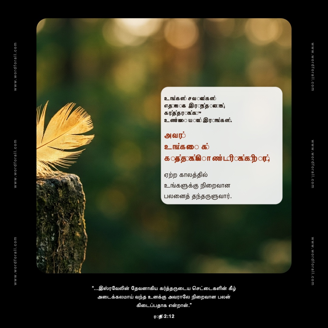 உங்கள் சவால்கள் எதுவாக இருந்தாலும், கர்த்தருக்கு உண்மையாய் இருங்கள். அவர் உங்களைக் காத்துக்கொண்டிருக்கிறார், ஏற்ற காலத்தில் உங்களுக்கு நிறைவான பலனைத் தந்தருளுவார்.