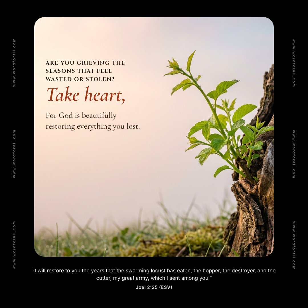 Are you grieving the seasons that feel wasted or stolen? Take heart, for God is beautifully restoring everything you lost.