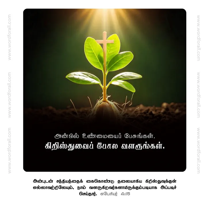 அன்பில் உண்மையைப் பேசுங்கள், கிறிஸ்துவைப் போல வளருங்கள்