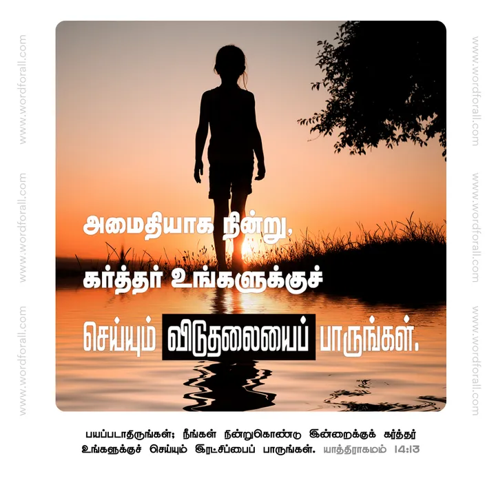 அமைதியாக நின்று, கர்த்தர் உங்களுக்குச் செய்யும் விடுதலையைப் பாருங்கள்