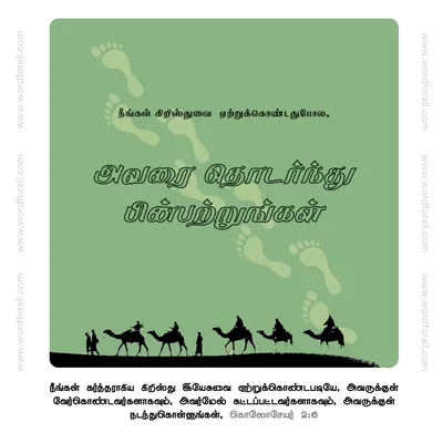 அவரை தொடர்ந்து பின்பற்றுங்கள்