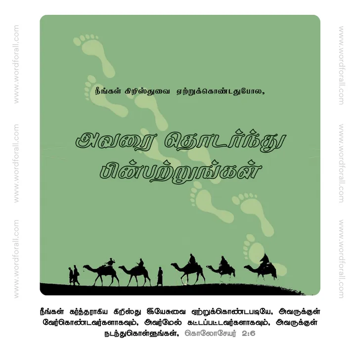 அவரை தொடர்ந்து பின்பற்றுங்கள்
