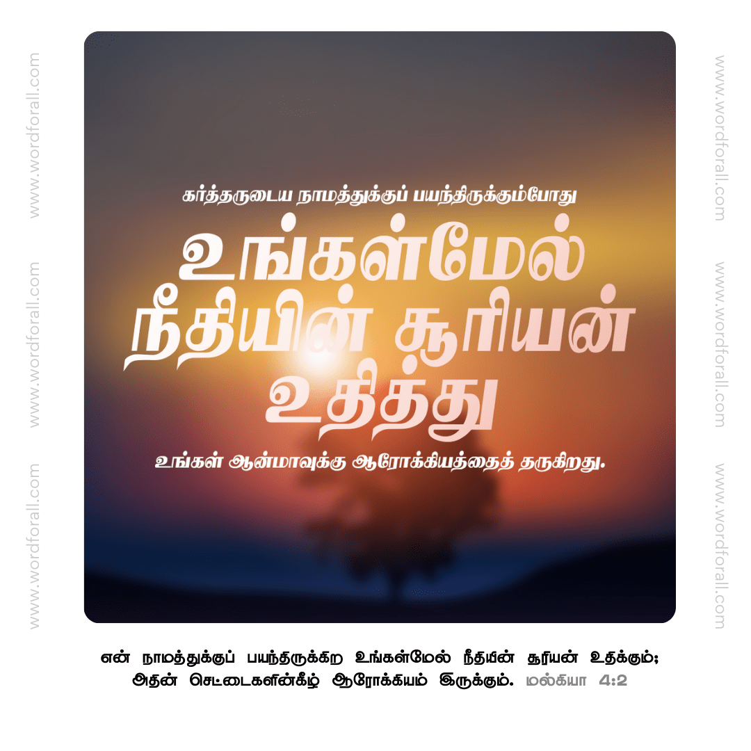 நீதியின் சூரியன் உதித்து உங்கள் ஆன்மாவுக்கு ஆரோக்கியத்தைத் தருகிறது