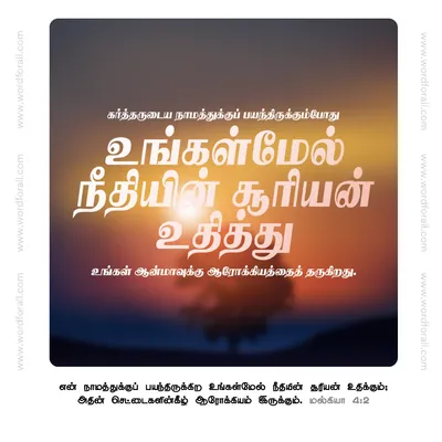 நீதியின் சூரியன் உதித்து உங்கள் ஆன்மாவுக்கு ஆரோக்கியத்தைத் தருகிறது