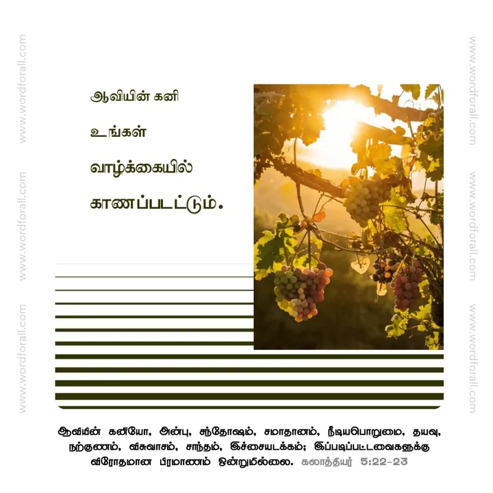 ஆவியின் கனி உங்கள் வாழ்க்கையில் காணப்படட்டும்