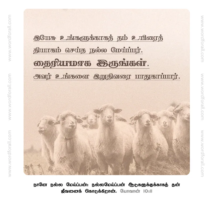 இயேசு உங்களுக்காகத் தம் உயிரைத் தியாகம் செய்த நல்ல மேய்ப்பர்