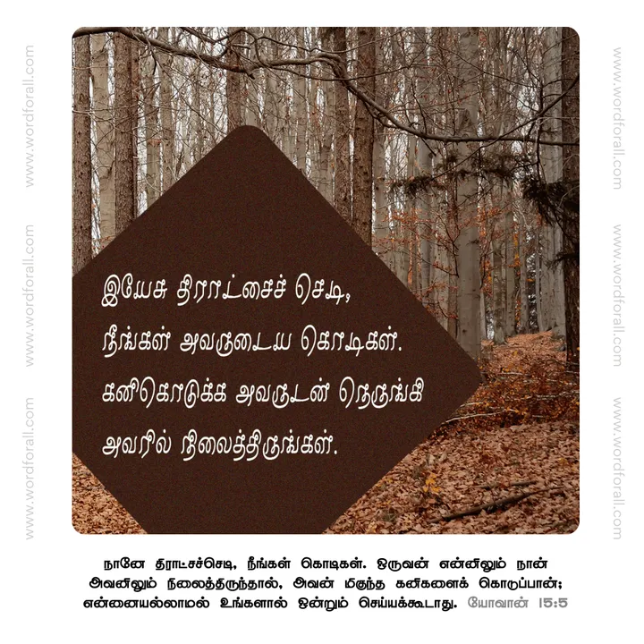 இயேசு திராட்சைச் செடி, நீங்கள் அவருடைய கொடிகள்