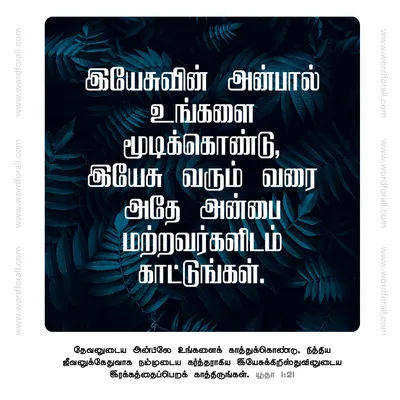 இயேசுவின் அன்பால் உங்களை மூடிக்கொண்டு, இயேசு வரும் வரை அதே அன்பை மற்றவர்களிடம் காட்டுங்கள்.