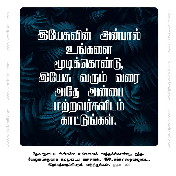 இயேசுவின் அன்பால் உங்களை மூடிக்கொண்டு, இயேசு வரும் வரை அதே அன்பை மற்றவர்களிடம் காட்டுங்கள்.
