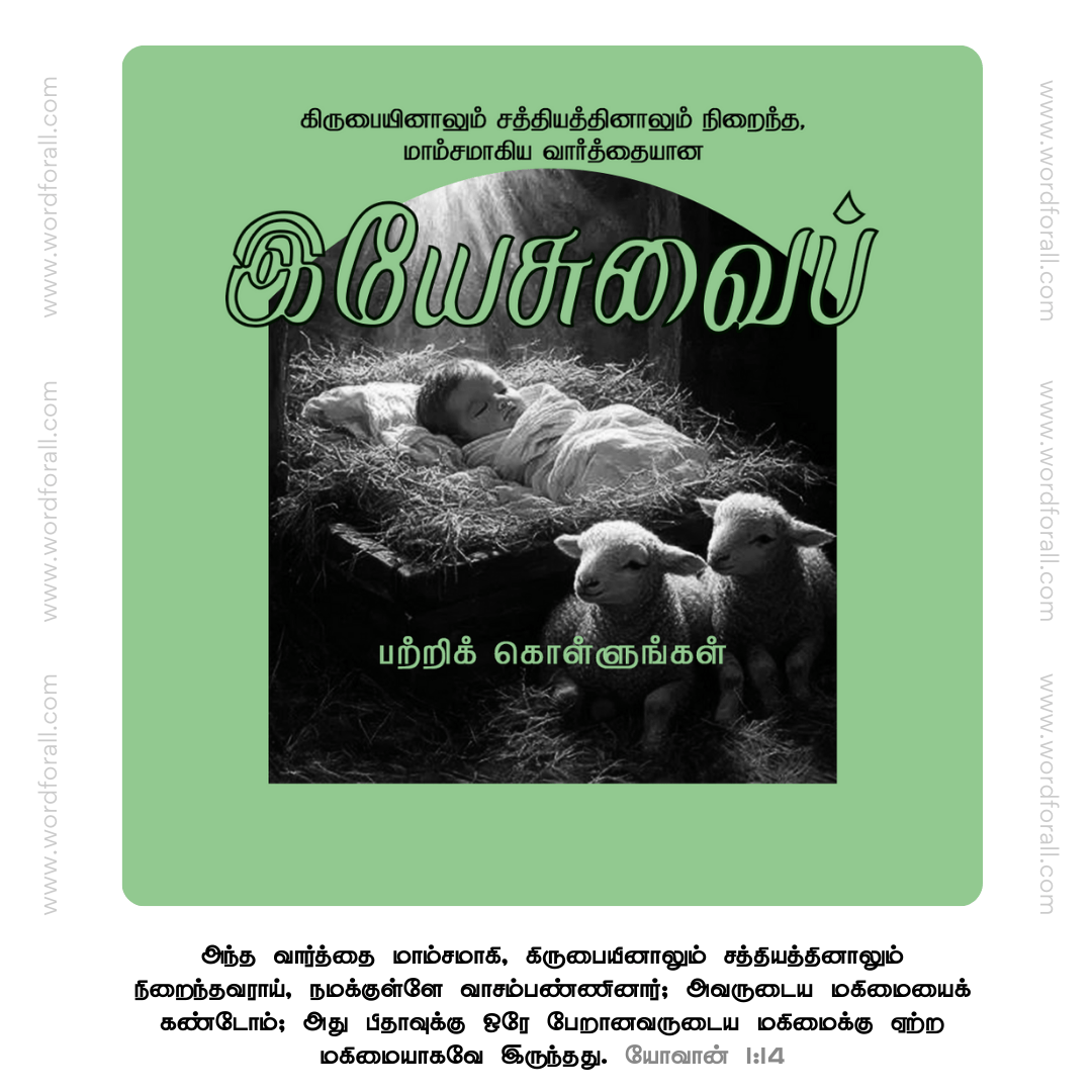இயேசுவைப் பற்றிக் கொள்ளுங்கள்