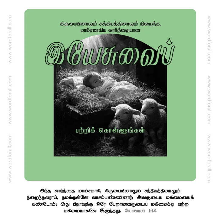 இயேசுவைப் பற்றிக் கொள்ளுங்கள்
