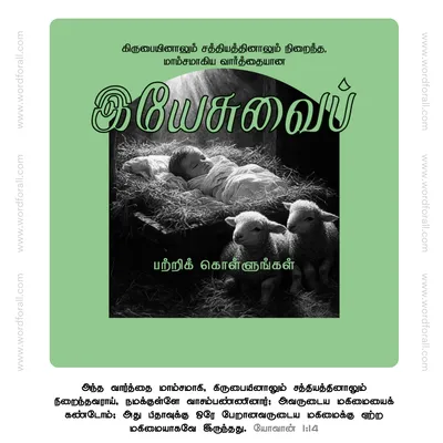 இயேசுவைப் பற்றிக் கொள்ளுங்கள்