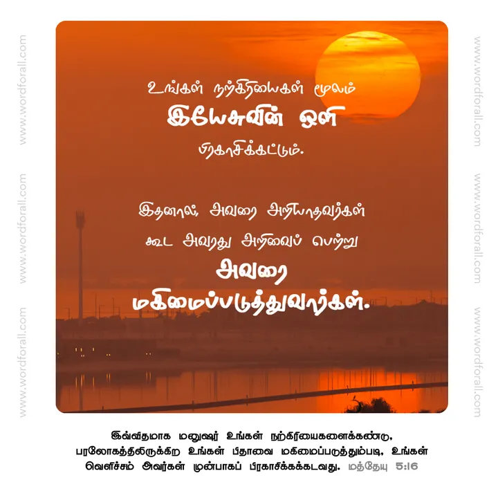 உங்கள் நற்கிரியைகள் மூலம் இயேசுவின் ஒளி பிரகாசிக்கட்டும். இதனால், அவரை அறியாதவர்கள் கூட அவரது அறிவைப் பெற்று அவரை மகிமைப்படுத்துவார்கள்.