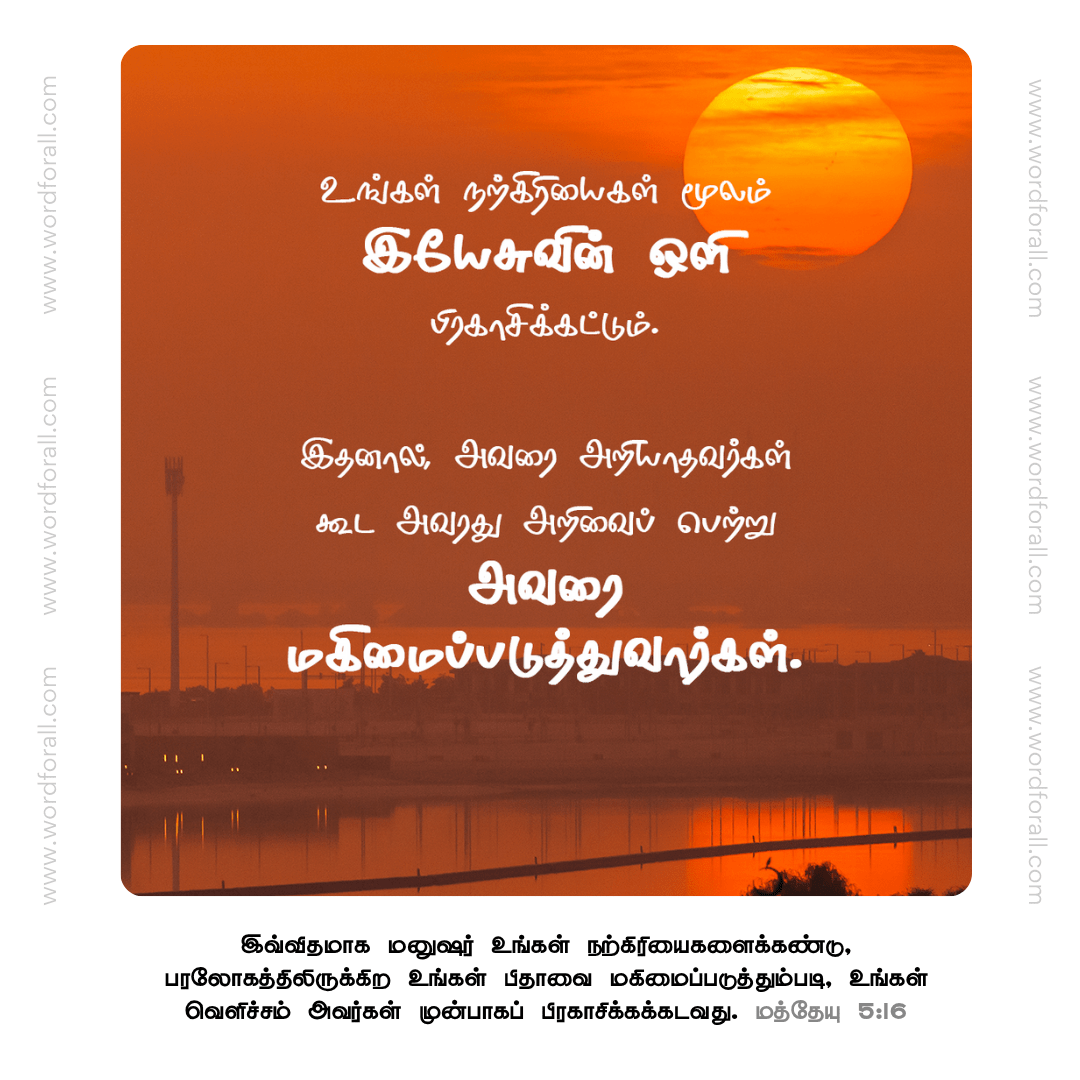 உங்கள் நற்கிரியைகள் மூலம் இயேசுவின் ஒளி பிரகாசிக்கட்டும். இதனால், அவரை அறியாதவர்கள் கூட அவரது அறிவைப் பெற்று அவரை மகிமைப்படுத்துவார்கள்.