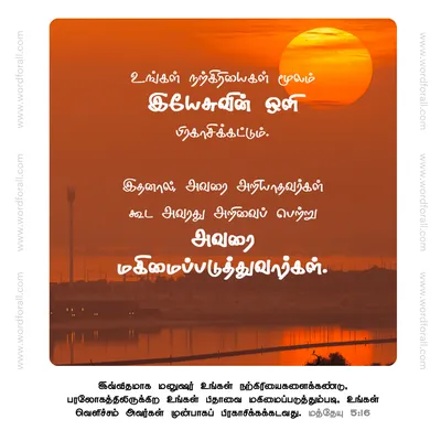 உங்கள் நற்கிரியைகள் மூலம் இயேசுவின் ஒளி பிரகாசிக்கட்டும். இதனால், அவரை அறியாதவர்கள் கூட அவரது அறிவைப் பெற்று அவரை மகிமைப்படுத்துவார்கள்.