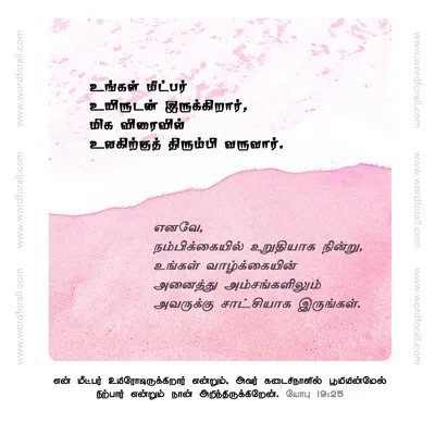 உங்கள் மீட்பர் உயிருடன் இருக்கிறார், மிக விரைவில் உலகிற்குத் திரும்பி வருவார்