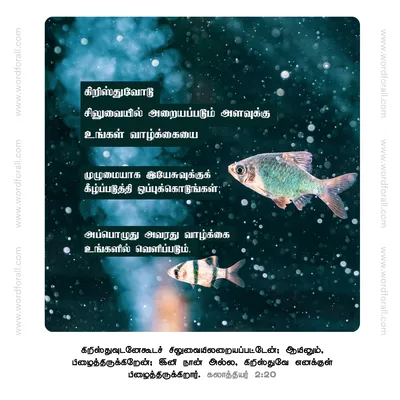 உங்கள் வாழ்க்கையை முழுமையாக இயேசுவுக்கு ஒப்புக்கொடுங்கள்;
