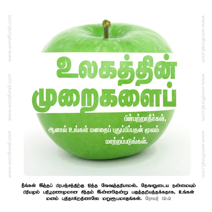 உலகத்தின் முறைகளைப் பின்பற்றாதீர்கள், ஆனால் உங்கள் மனதைப் புதுப்பிப்பதன் மூலம் மாற்றப்படுங்கள்