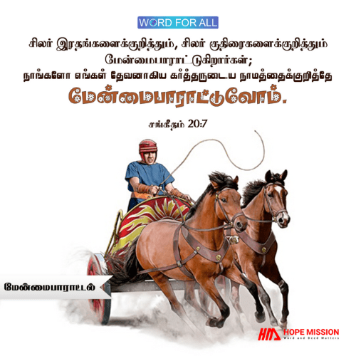 யாரை அல்லது எதை நீங்கள் நம்பப் போகிறீர்கள்?