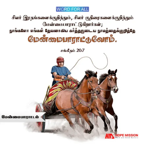யாரை அல்லது எதை நீங்கள் நம்பப் போகிறீர்கள்?