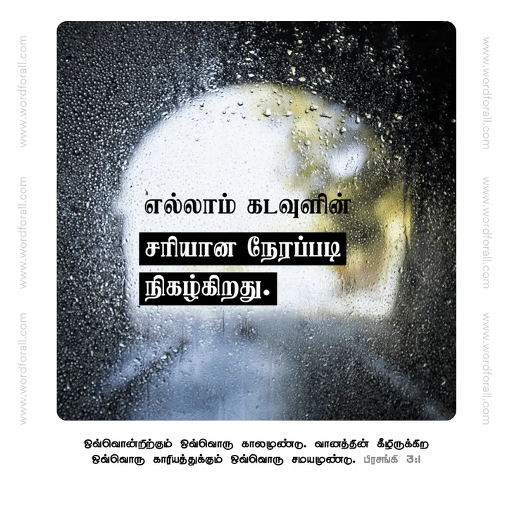 எல்லாம் கடவுளின் சரியான நேரப்படி நிகழ்கிறது