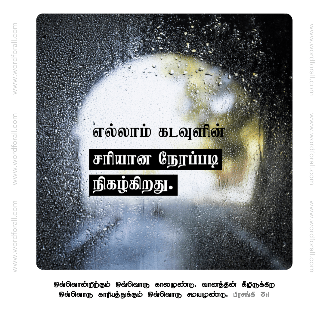 எல்லாம் கடவுளின் சரியான நேரப்படி நிகழ்கிறது
