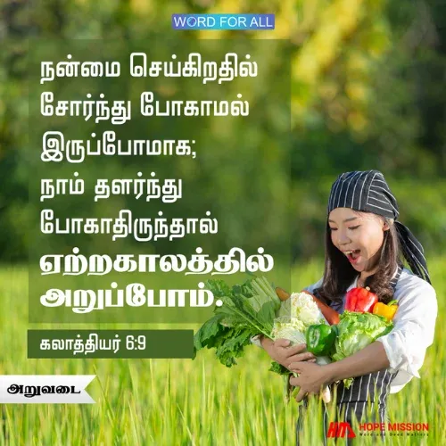 மனம் தளராதீர்கள்; ஏற்ற காலத்தில் நீங்கள் ஆசீர்வாதத்தை அறுவடை செய்வீர்கள்